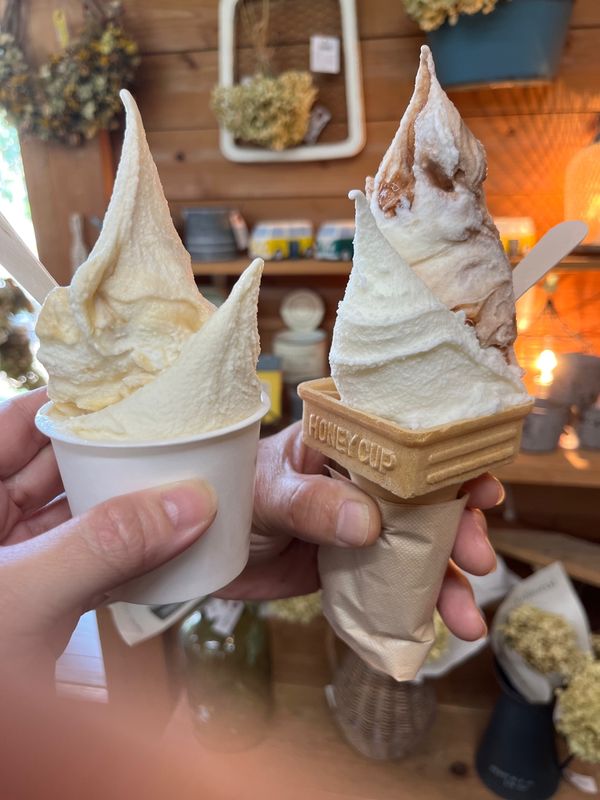 日本・徳島県「徳島グルメ」の写真：イタリアンジェラートドルチェ

シングル...