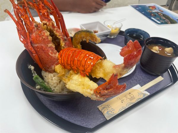 日本・大島「ヤマキ　マグロツアー」の写真