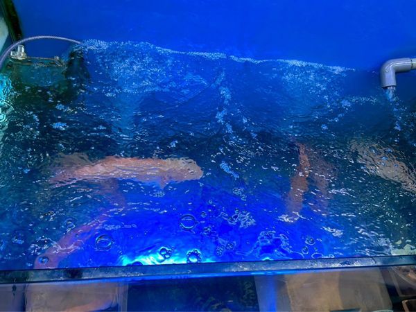 香港「香港旅」の写真