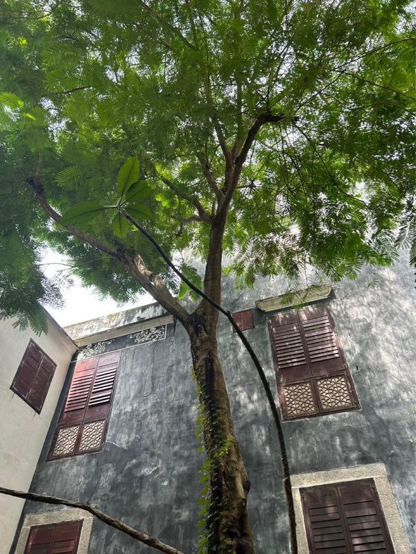 マカオ「マカオ旅」の写真