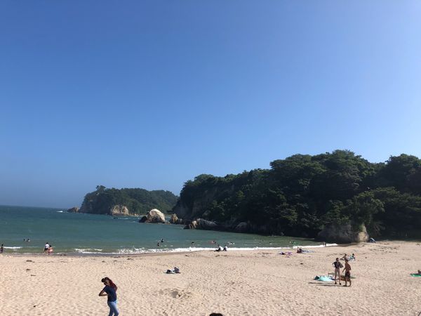 日本・釜石「東北出張」の写真：地元の居酒屋と寿司屋さんで新鮮な海の幸を堪能