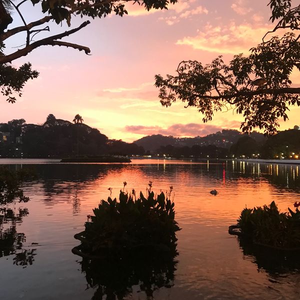 スリランカ「スリランカ　夏休み」の写真