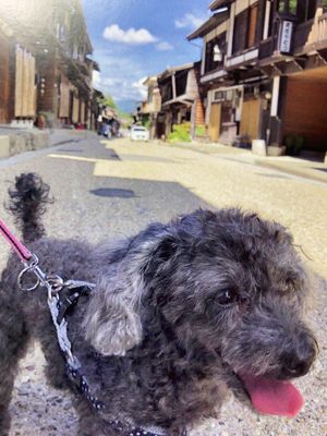 長野の旅　古希祝🎊