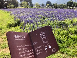 長野の旅　古希祝🎊