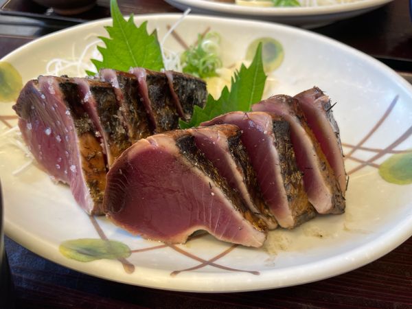 日本・高知県「高知旅行」の写真