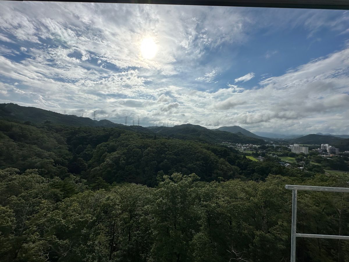 秋保に戻り宿へ

泊まる宿は「緑水亭」。多分初めて泊まる温泉旅館。部屋は「...