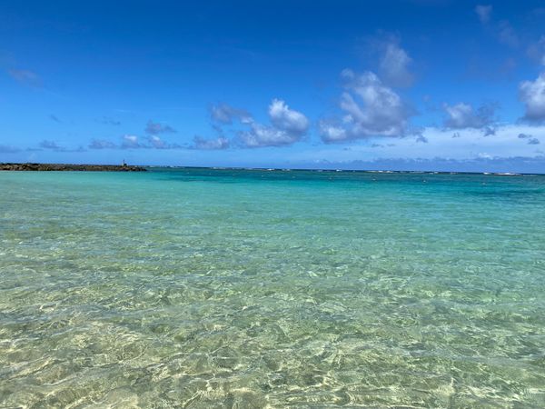 日本・奄美大島「奄美徳之島」の写真
