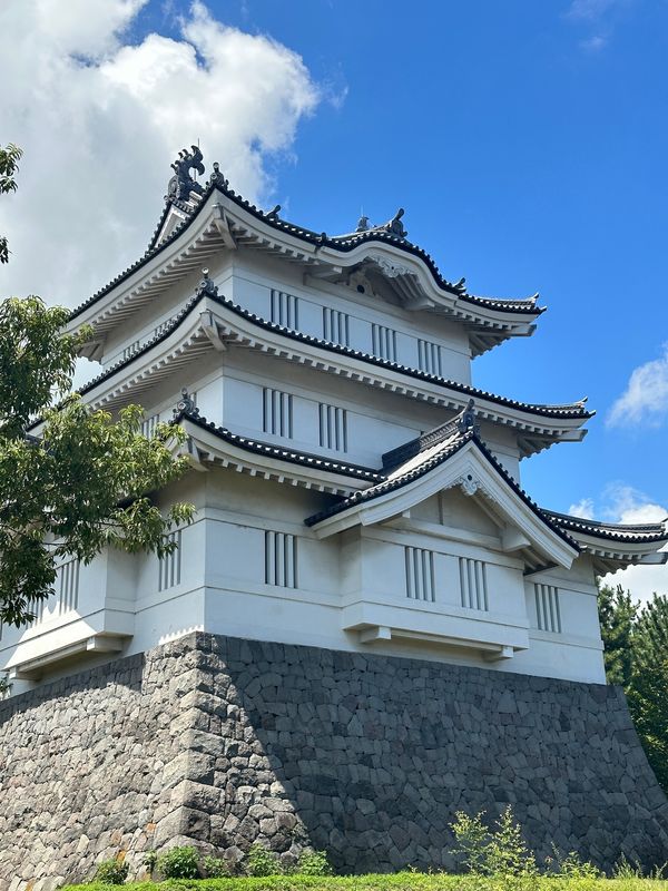 日本・埼玉県「新潟途中な埼玉（2023夏）」の写真