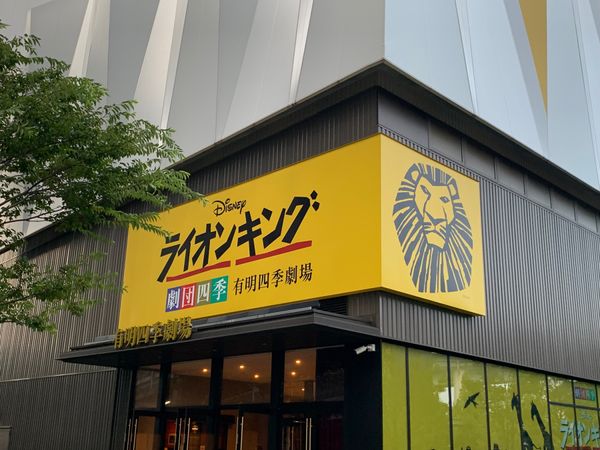 日本・東京「ライオンキング旅」の写真