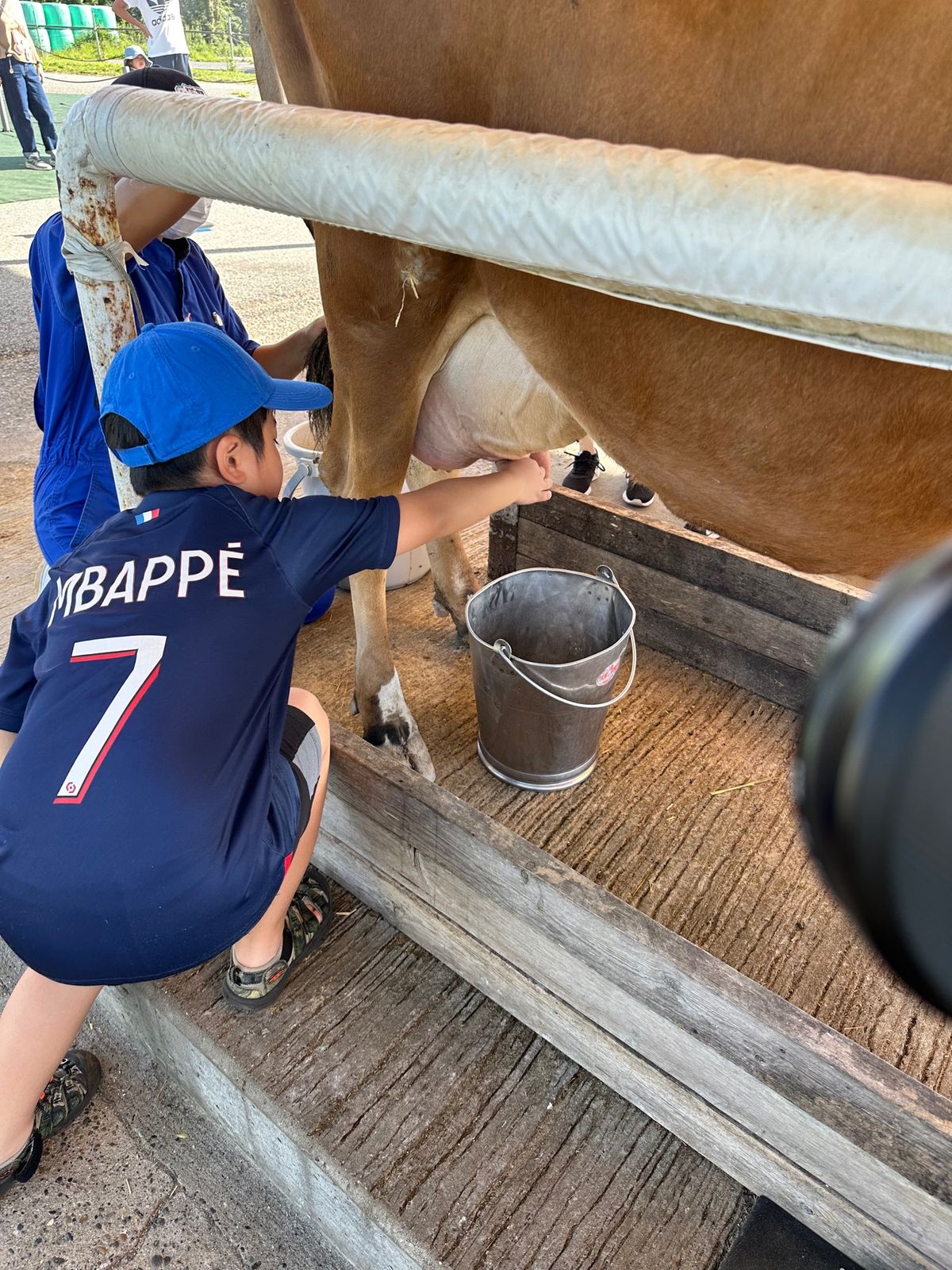 次は乳搾り体験。これも10分くらい。

長男次男は楽しんでやってたけど三男...