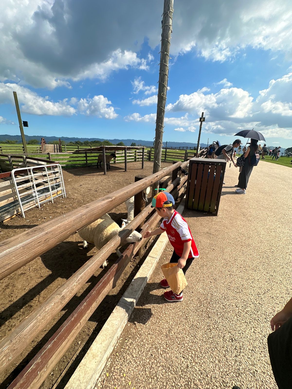 羊の餌やり
200円
すぐなくなる！

講堂みたいな所では羊が展示されてた...