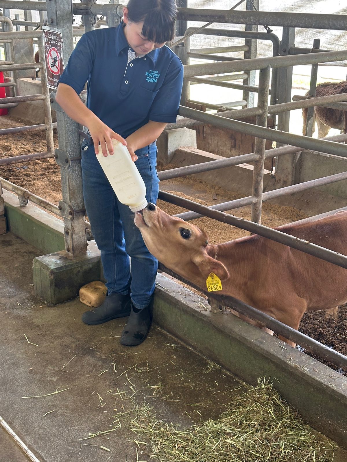 最後に1時間のファームツアーに参加。

バスに乗りながら牧場内を一周。途中...