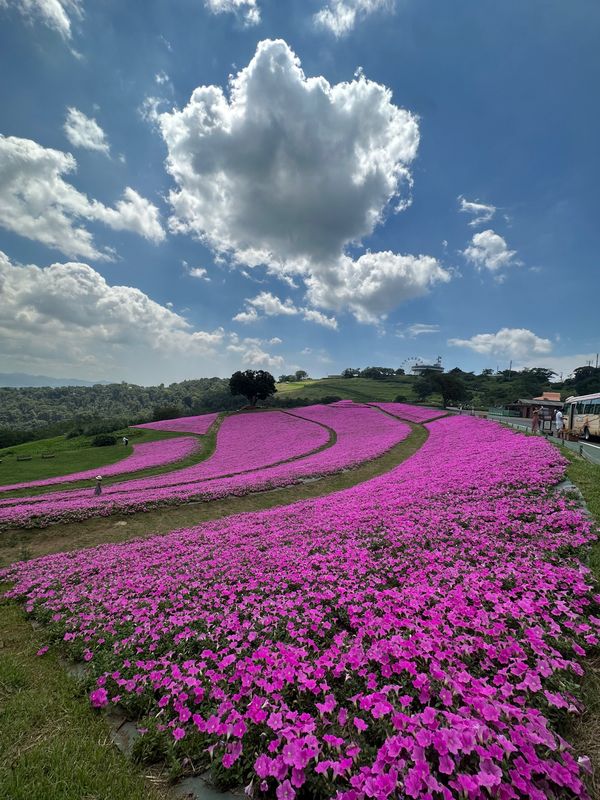 日本・千葉県「マザー牧場グランピング」の写真：マザー牧場に到着。
グランピング利用者は...