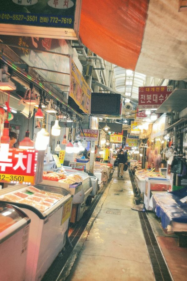 大韓民国 (韓国)・ソウル「韓国」の写真