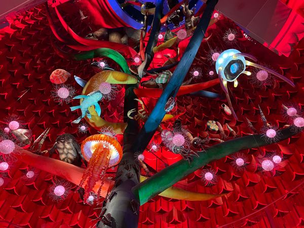 日本・京都府「京都・大阪・奈良」の写真