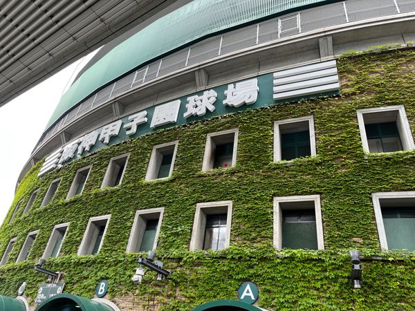 日本・兵庫県「甲子園観戦」の写真