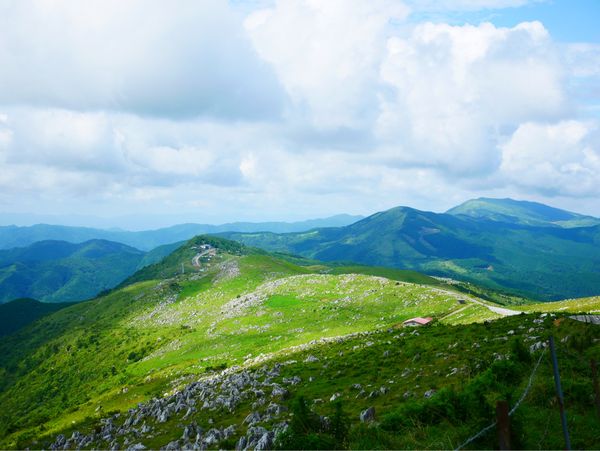 日本・徳島県「四国旅行」の写真：四国カルスト