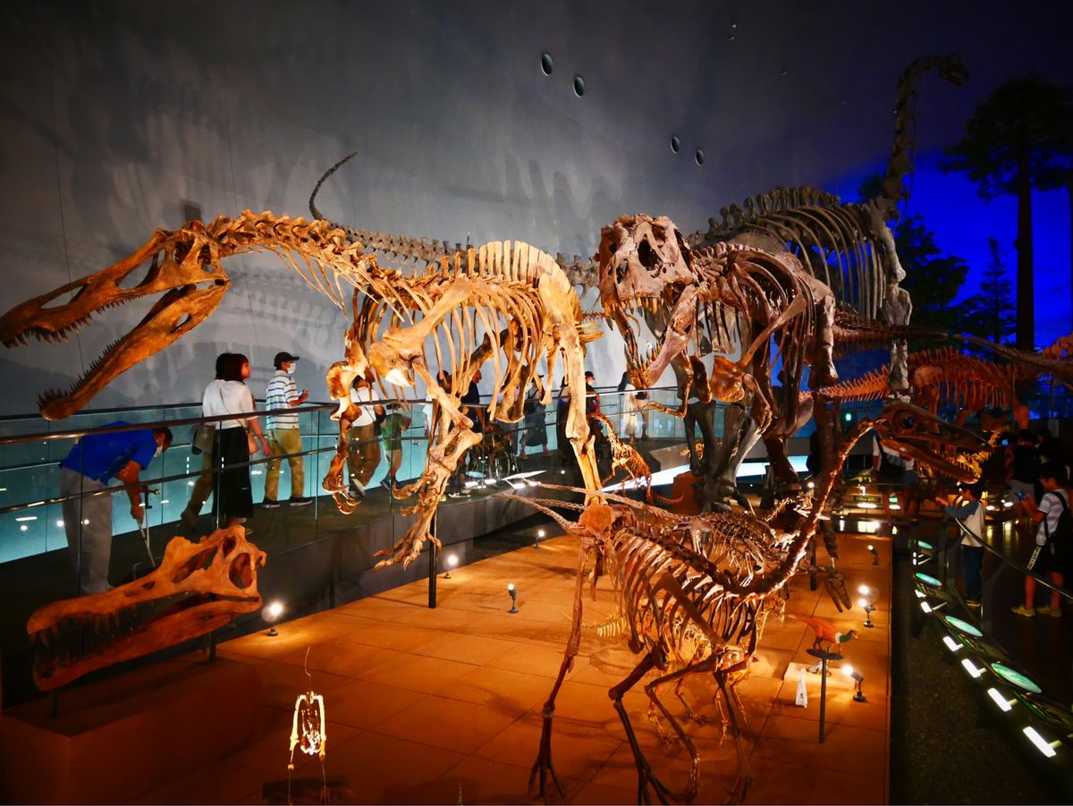 福井県立恐竜博物館