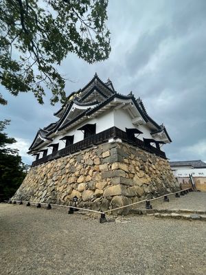 彦根城とひこにゃんとバームクーヘン美味しーとこ