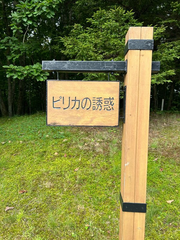 日本・北海道「ゴルフ旅行」の写真：1日目はニドムクラシックコース⛳️