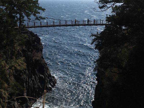 日本・伊豆「伊豆」の写真