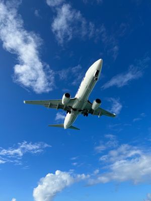 17エンドは飛行機の着陸が間近でよい❗️
マンゴーの自販機、さすが宮古島。