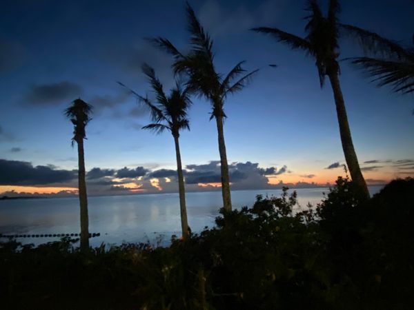 日本・沖縄県「沖縄旅行」の写真