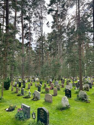 世界遺産スコーグスシュルコゴーデンとT-Centraren駅