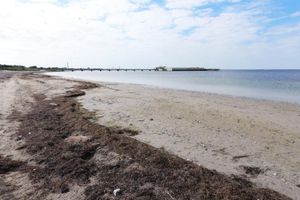 海上サウナは海に飛び込めます。
全裸の男女混浴もあります