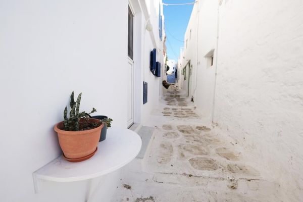 スウェーデン・マルメ「夏休みギリシャ旅」の写真：ミコノスの街並み