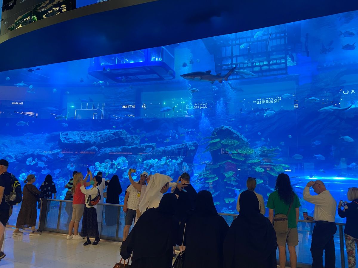 友人を訪ねて2日間だけ行って来ました！