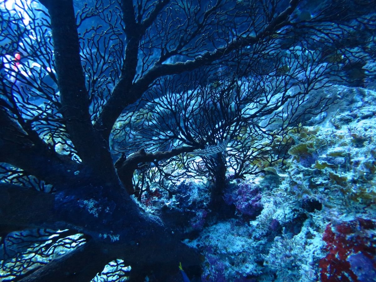 いいキャラクターが揃ってます。