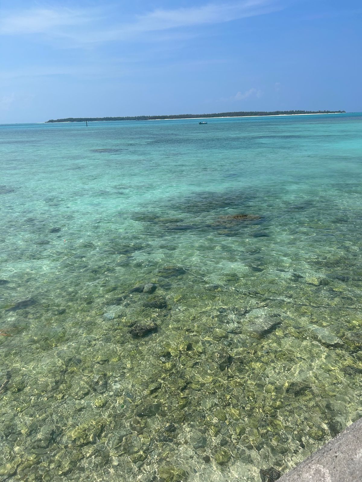 少々観光もしました。