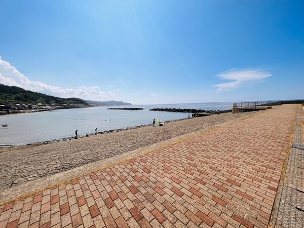 日本・新潟県「久々の新潟県」の写真：法事での忙し訪問。幼少期は夏休みの度に滞...