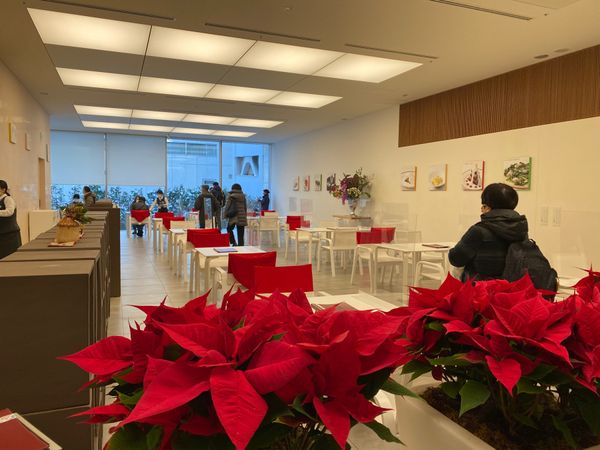 日本・函館「HND ✈︎ HKD ✈︎ CTS ✈︎ HND」の写真：六花亭で頂いた牡蠣とほうれん草のピザが絶...