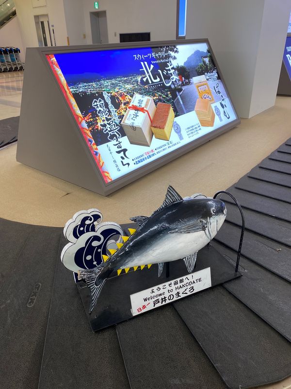 日本・函館「HND ✈︎ HKD ✈︎ CTS ✈︎ HND」の写真：久々の函館はコロナ禍なので観光客も多くな...