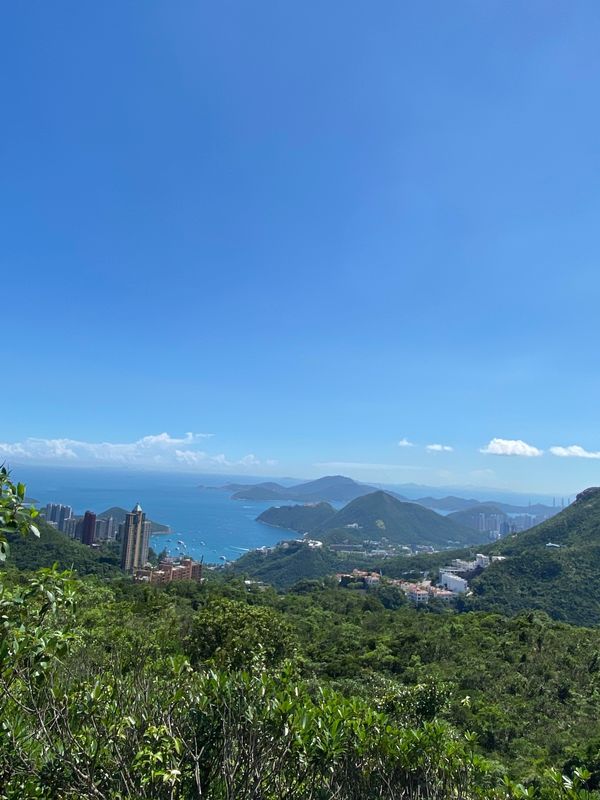 香港・跑馬地Happy Valley「NRT ✈︎ HKG ✈︎ NRT」の写真：カナダ人妻の勧めで自他マンションから程近...