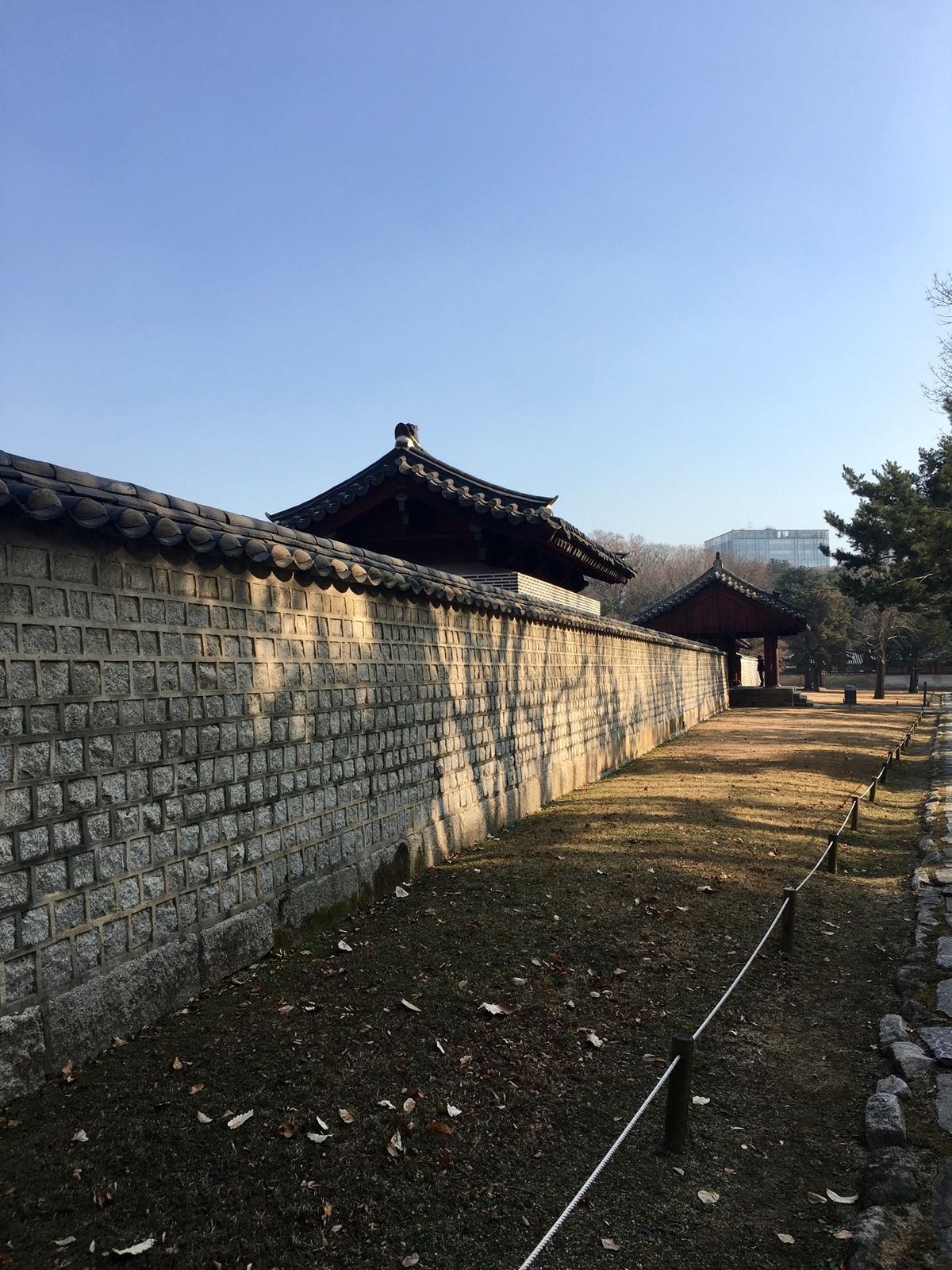 3日目は世界遺産の宗廟へ🌍