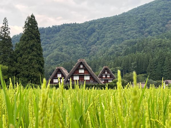 日本・白川郷「岐阜県」の写真