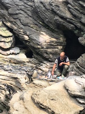 シントラから戻った翌日はリスボン海洋水族館へ。

日本人による遺作のネイチ...