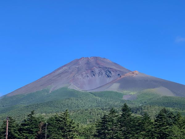 日本・静岡県「富士山クリーンアップ作戦」の写真：ボラン活動で富士山清掃して来ました