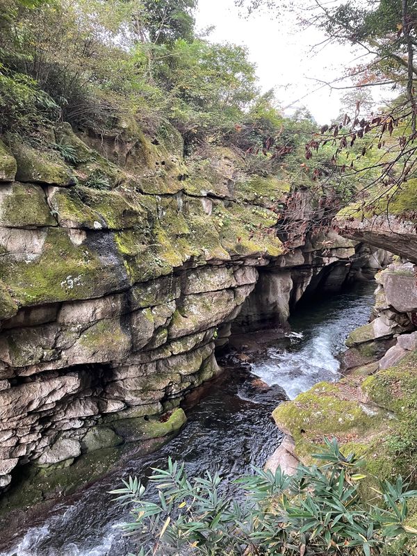 日本・宮城県「宮城」の写真