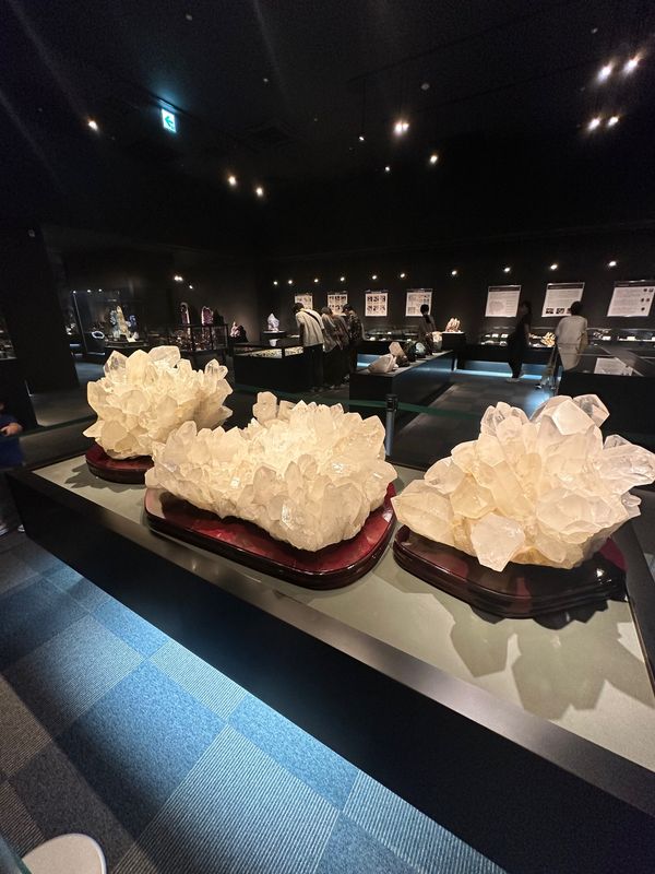 日本・山梨県「星のや富士」の写真：なぜか山梨宝石博物館へ次男が行きたいとい...
