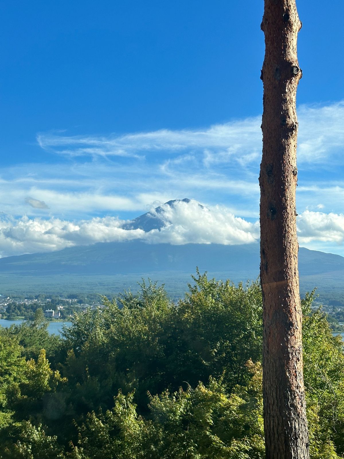 星のや富士

部屋は3人部屋のキャビン
目の前に大きな木があり、ポジティブ...