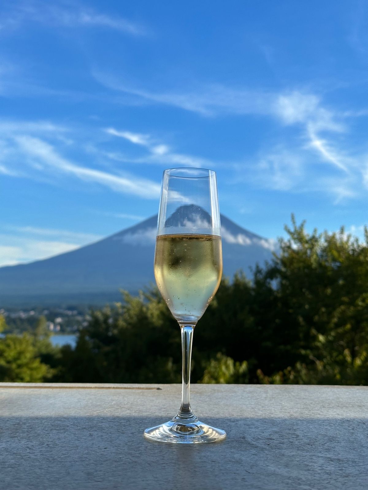 星のや富士

部屋は3人部屋のキャビン
目の前に大きな木があり、ポジティブ...