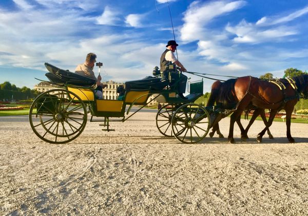 オランダ・スキポール「NRT ✈︎ HKG ✈︎ MPX ✈︎ VIE 🚇 BUD ✈︎ AMS ✈︎ HKG ✈︎ NRT 」の写真：溜め息が出る程美しい。