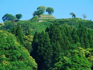 灯籠祭りの松江城と月山富田城
バラパンと出雲ぜんざいは外せません