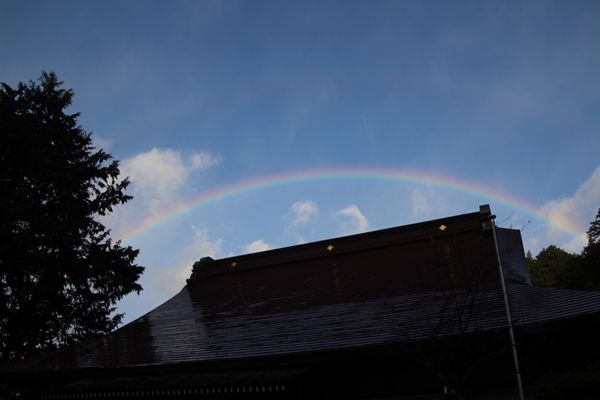 日本・埼玉県「秩父絶景ツアー」の写真