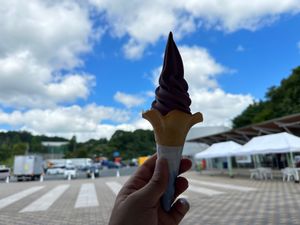 600kmポスト
途中の道の駅でライダーの勤めを果たす
ブルーベリーソフト...
