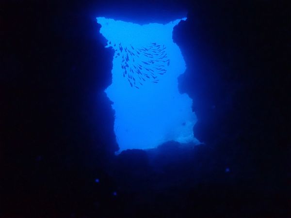 日本・沖縄県「沖縄」の写真